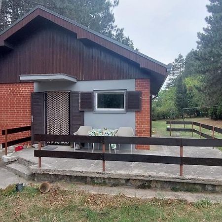 House For Us Vinci 빌라 외부 사진